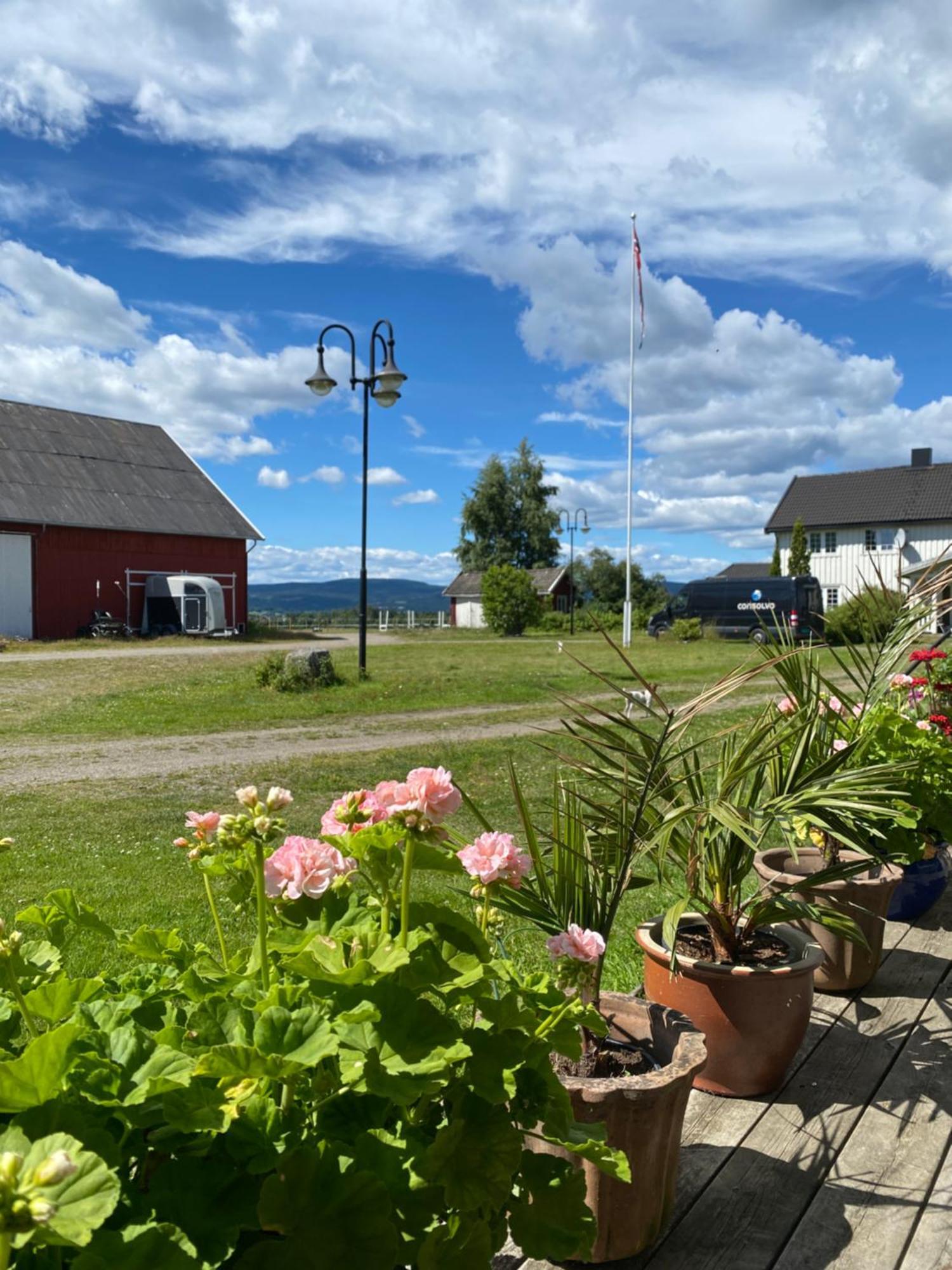 GarderSundby Fjordhestgard别墅 外观 照片